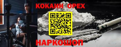 гидра Новозыбков