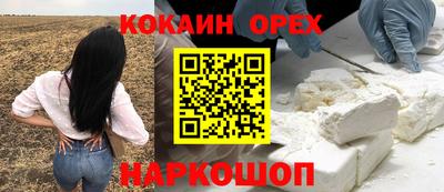 гидра Новозыбков