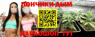 гидра Новозыбков