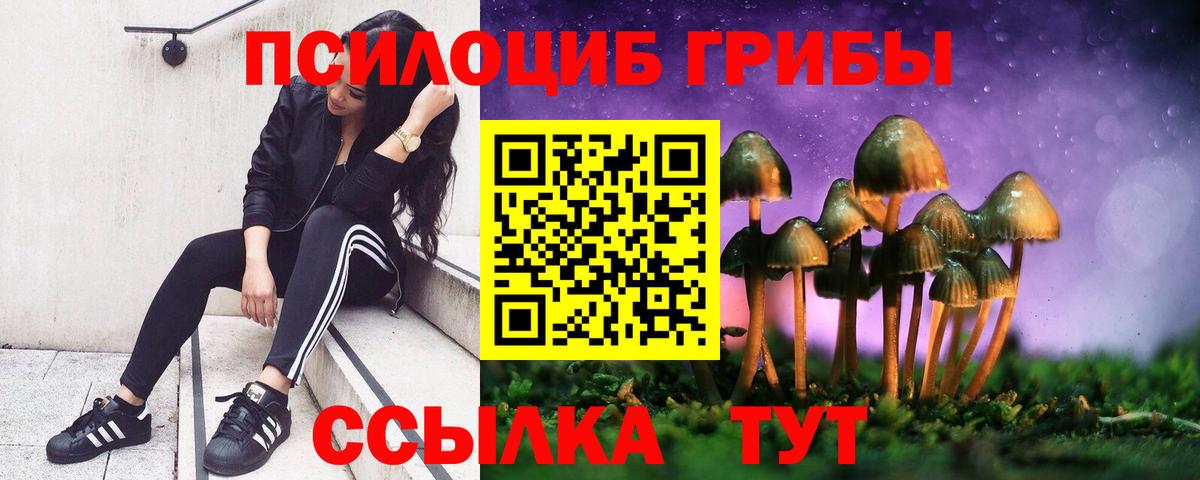 Псилоцибиновые грибы MAGIC MUSHROOMS Сосновоборск